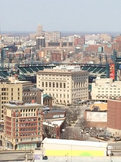 View of Comerica Park, home of the Tigers, from our balcony in downtown Detroit.